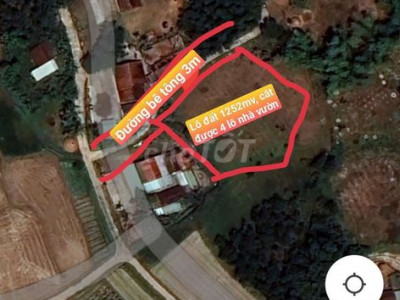 🆘️🆘️🆘️NHÀ BÀ CÔ NHỜ BÁN 1 LÔ ĐẤT MẶT TIỀN BÊ TÔNG 3M