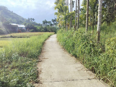 chính Chủ cần bán nhà vườn 3000m2 có 200 đất ở  Đã trồng cây ăn quả