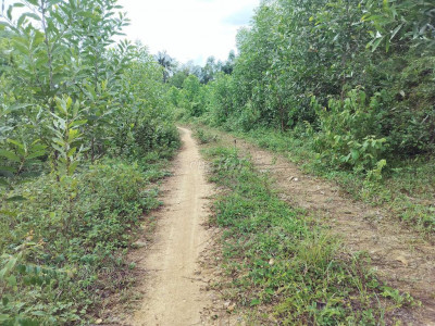 Em  chính chủ bán gấp lô 15 hetta, bám suối tặng kèm keo 3 năm