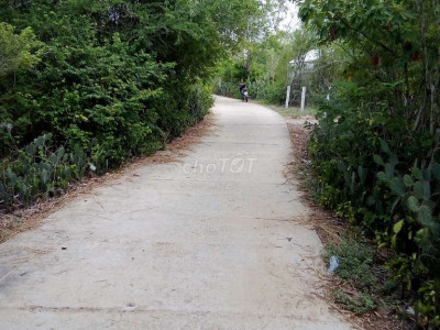 Bán đất gần ngã tư Bình Đào