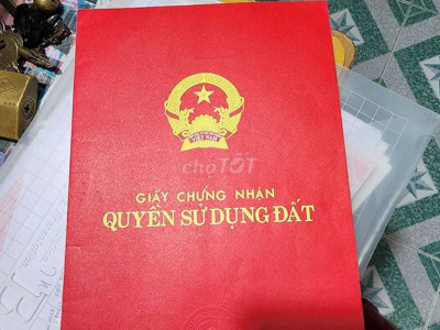 Chính chủ 4 Hecta oto vào tận đất trông cây (đất gạch)