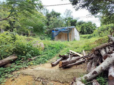 bán nhà vườn 3000m2 có 300 đất ở Đã trồng vườn cay ăn quả ,bòn bon