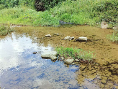 Chính Chủ cần bán vườn 5.000m2 có 300 đất ở + 7ha  70.000m2