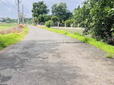 BÁN ĐẤT TRỒNG RỪNG SẢN XUẤT TẠI DUY PHÚ, DUY XUYÊN, QUẢNG NAM