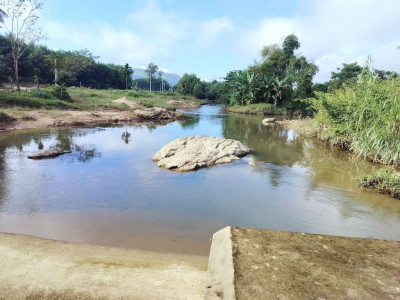 chủ bán 2500 Vườn cây ăn quả + hơn 100 cây gió bầu làm trầm hương