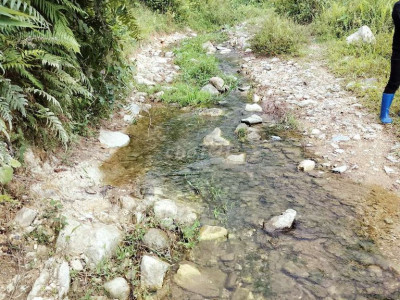 Chính Chủ cần bán vườn 4000m2 có 300 đất ở +75.000m2 rừng liền kề.