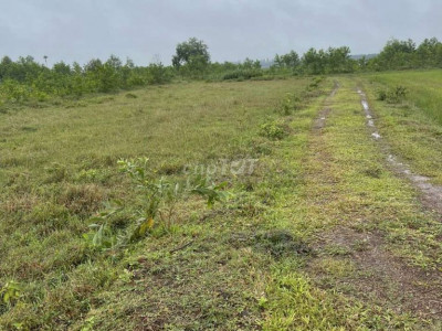 bán 13.400m2 đất , đất bằng phẳng phù hợp làm nhà vườn trang trại