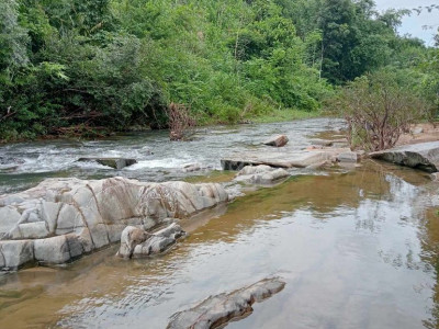 Bán đất vườn Đông Giang 6443 m2 đất CLN mặt tiền đường ql14g