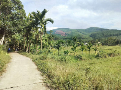 Chủ cần bán nhà vườn 3000m2 có 200 đất ở  Đã trồng cây ăn quả