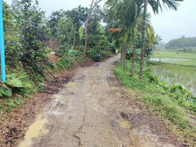 chính chủ cần bán gấp đất vườn.Dt 6500m2 cln mặt tiền đường bê tông