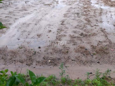 QUẢNG NAM_Bán đất cách quốc lộ 1A 50M - chính chủ