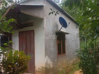 chuyển hết vào Sài Gòn cần nhượng lại  nhà vườn 1719m² mặt tiền hơn 50