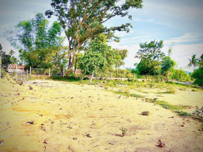 Cần bán 10.000 m2 đất vườn có 300 đất ở đường bê tông ô tô vào tận nơi