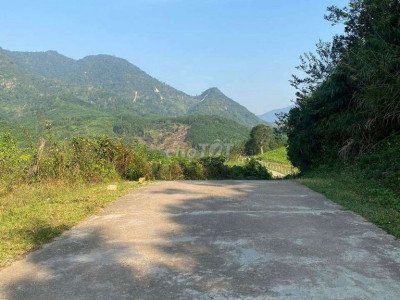 Chính chủ bán  2ha đất rừng  đại Sơn đại lộc cách đà nẵng 50km