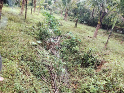 Bán Vườn  cây ăn quả ôm suối 1.5ha cách thị trấn tiên kỳ 1km tiênPhước