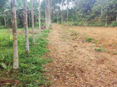 E chào bán lô đât vườn có DT hơn 6 sào 3000mv có 300m2 đất ở