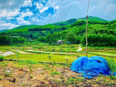 bán lô đất vườn có diện tích hơn 800mv có 150m2 đất ở,