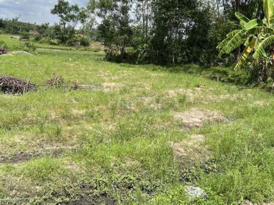 gia đình có việc cần bán gấp