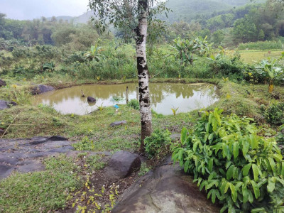 bán Đất trang trại chăn nuôi tổng 10.694m2 có 300 đất ở có nhà, ao cá