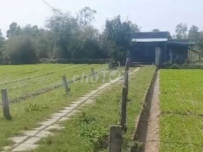 nhà vườn Diện tích : 1270m trong sổ có 300m đất ở