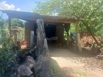 Cần bán đất có nhà cấp 4  đường ql24c sát thị trấn Bắc trà My