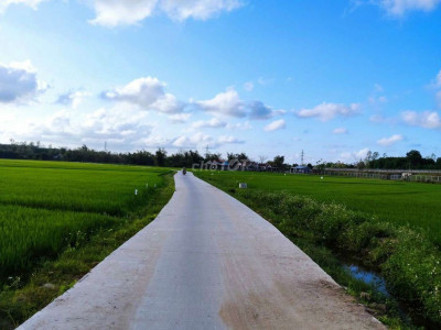 Nhà vườn TAM THÁI DT 400m...Hậu nở bự...Cách UBND xã 1.2km.