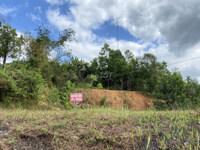 Bán đất 903m2 tại Trà Mai, Nam Trà My, Quảng Nam