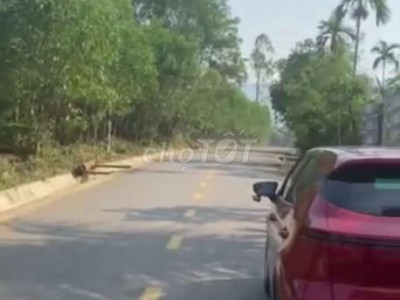 bán nhà vườn mặt tiền 617 tam mỹ tây.dt 1775m2 có 200m đất ở