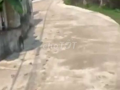 Cần bán lô đất vườn bình trung thăng bình.dt 2320 m2