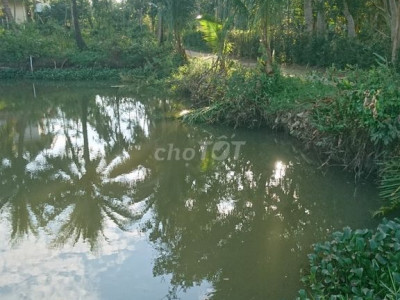 Cho Thuê Đất Kinh Doanh Duy Vinh, Duy Xuyên Quảng Nam