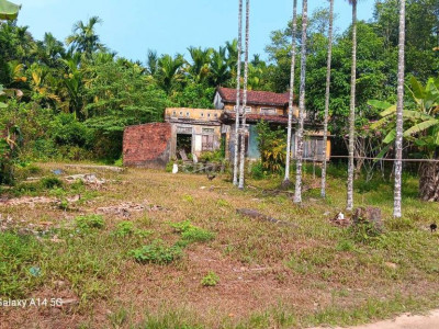 Rẻ nhất Bán vườn  bám mặt tiền đường bê 20m DT ngang 20 dài hơn 30