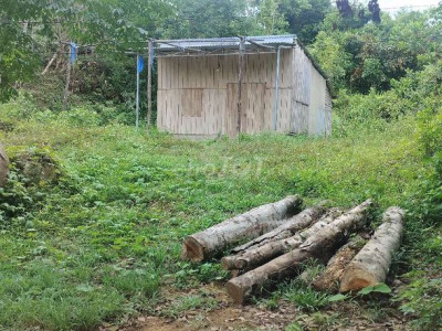 Bán nhà vườn 2000m2 đất quy chủ .Vườn đã có sẳn bòn bon dừa