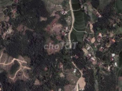 Bán nhà vườn 1300m2 có 300 đất ở Tien thọ tiên phước quảng Nam