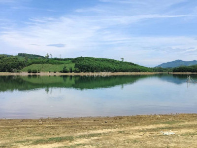 Views trực diện hồ phú Ninh 1350m đất cây lâu năm bám đường bê tông