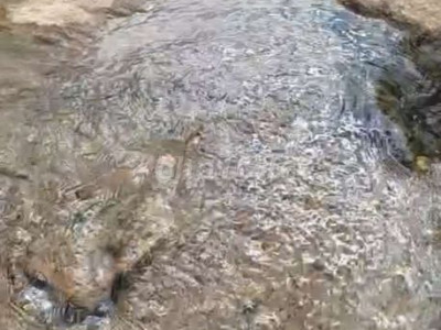 Cần bán đất trang trại tại Tiên Hiệp Tiên Phước . 5 hetta