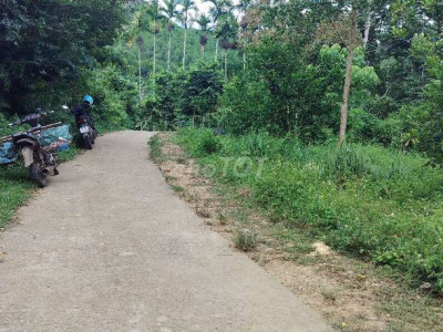 bán đất Vườn mặt tiền đường bê tông .Diện tích 1000m2 có 100m ont