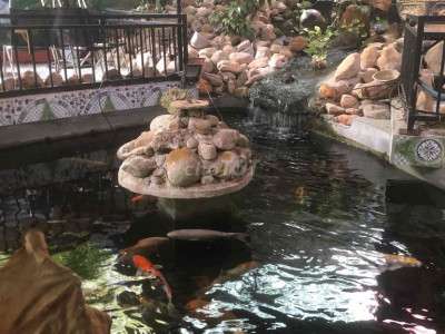 đất thị trấn Phú Thịnh,huyện Phú Ninh