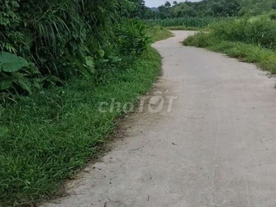 Chủ cần bán nhà vườn 3000m2 có 200 đất ở thanh trà, bưởi, bơ , mít.