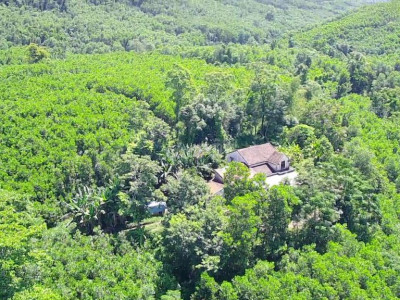 Bán nhà vườn vs 250.000.000m2 đất Bám Suối 25 hetta 
Địa hình đồi bằng