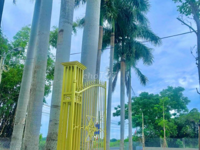 mat bằng kd 3mat tiền dt 25m x30m duong thông cách quốc lộ 1 3km tiệ