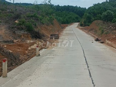 Cần bán lại đất trồng cây