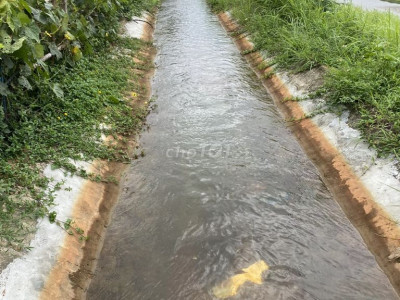 Bán đất đường ĐT 611 xã quế Long huyện quế Sơn