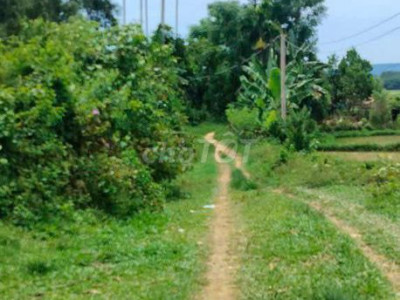 Cần bán gấp đất vườn phù hợp nghĩ dưỡng trồng cây ăn quả  chăn nuôi
