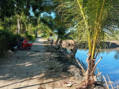 Đất thổ cư và ao 800m2 Duy Xuyên, Quảng Nam