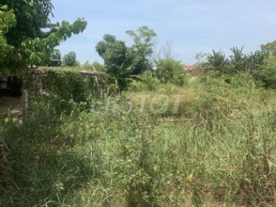 🔥🔥🔥BÁN ĐẤT TAM THÁI, PHÚ NINH, ĐƯỜNG 3M