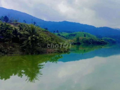 Hàng đẹp views cực hiếm khách chốt nhanh. Bán 60 hecta đất