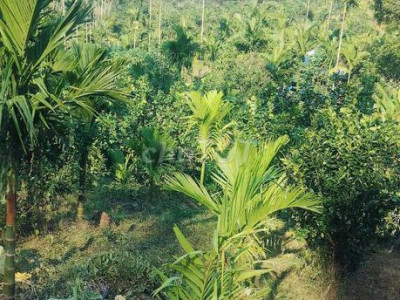 Chính chủ 5 ha ,5  bám suối có nhà  đã thép gai rào kín đất có 2 hồ