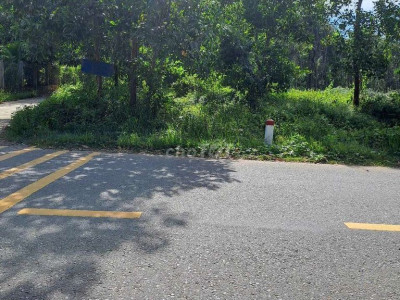 Cần tiền ăn Tết, ra nhanh lô Đất mặt tiền, gần khu công nghiệp