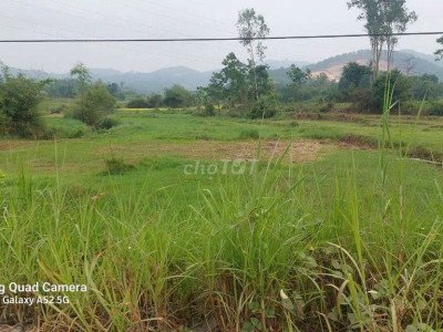 Bán nhà vườn 1300m2 có 300 đất ở 
Vườn đã có s
Cách đường ql40b 400m