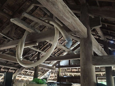 Cần bán nhà cột làm quán cafe tặng ngói